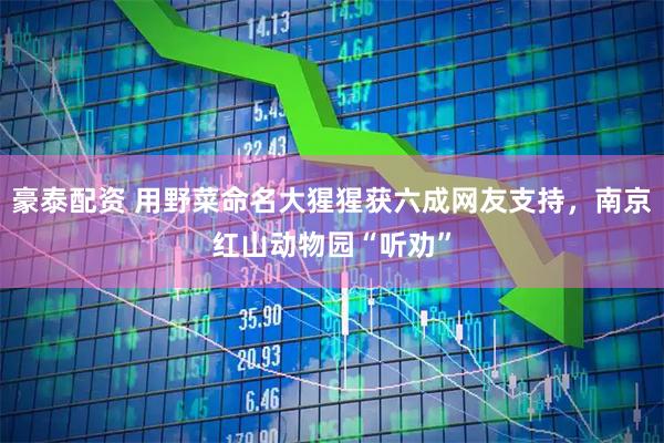 豪泰配资 用野菜命名大猩猩获六成网友支持，南京红山动物园“听劝”