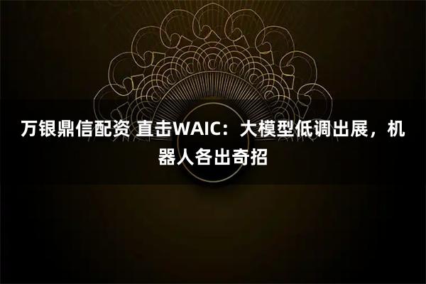 万银鼎信配资 直击WAIC：大模型低调出展，机器人各出奇招