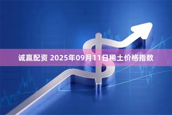 诚赢配资 2025年09月11日稀土价格指数